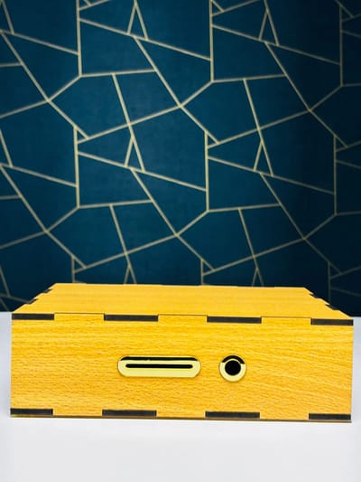 Wooden Money Saving Box (Piggy Bank)_img_2